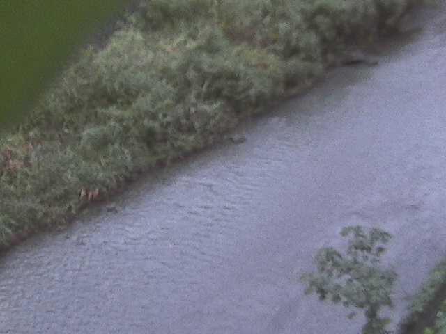 堀割橋付近のカメラ画像