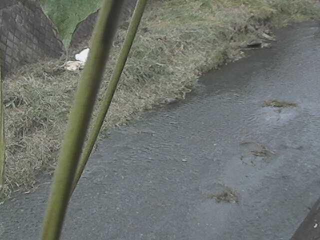 皆瀬川 堀割橋付近のカメラ画像