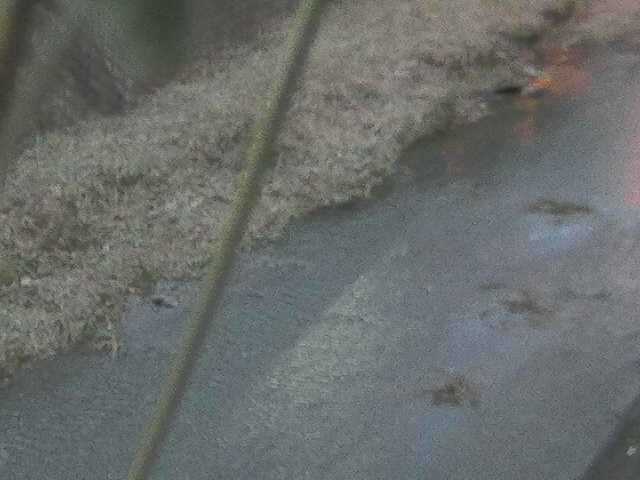 堀割橋付近のカメラ画像