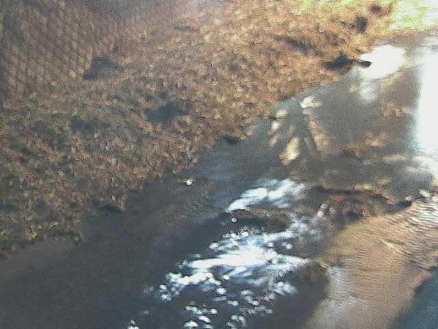 堀割橋付近のカメラ画像