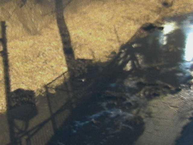 堀割橋付近のカメラ画像