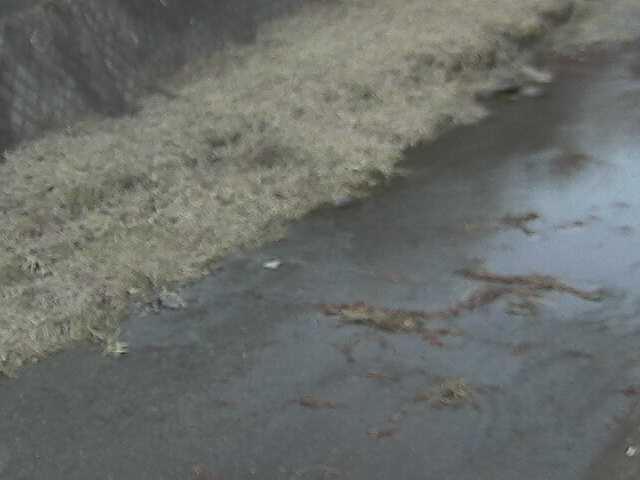 皆瀬川 堀割橋付近のカメラ画像