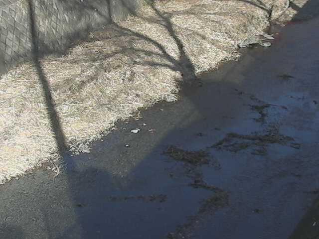 堀割橋付近のカメラ画像