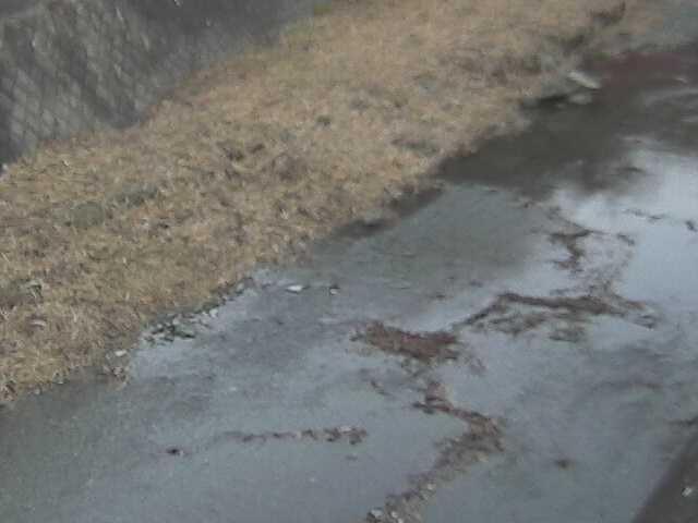 堀割橋付近のカメラ画像