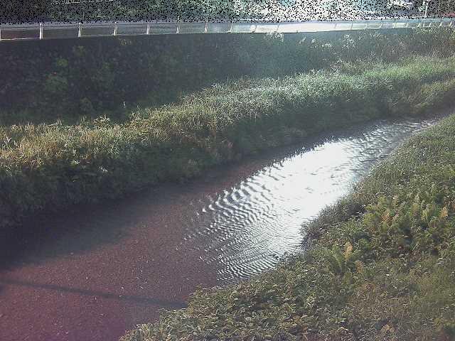 雑色付近のカメラ画像