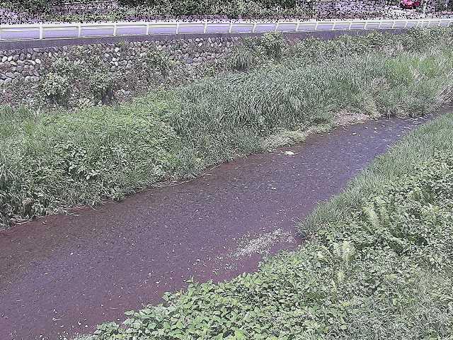 雑色付近のカメラ画像
