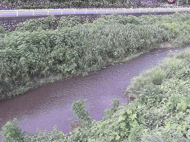 中村川 雑色付近のカメラ画像