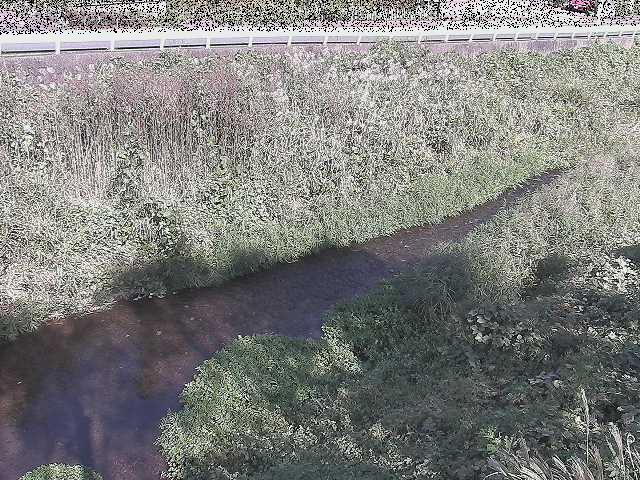 中村川 雑色付近のカメラ画像