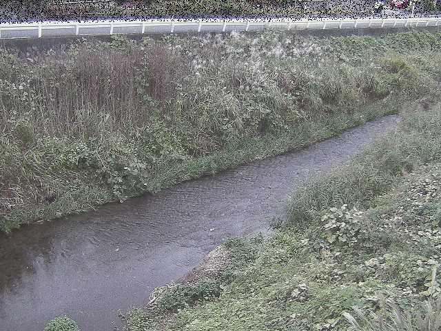 雑色付近のカメラ画像