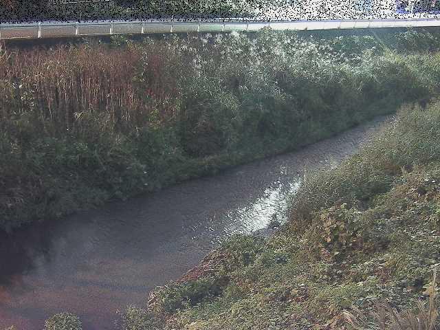 雑色付近のカメラ画像