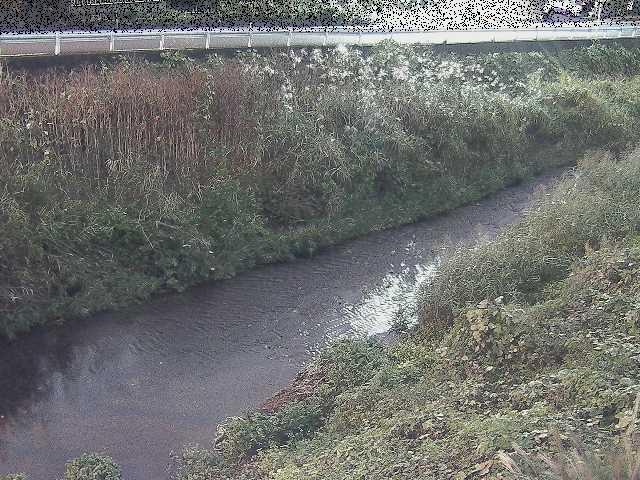 雑色付近のカメラ画像