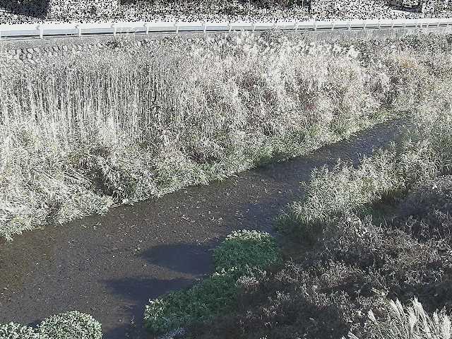 雑色付近のカメラ画像