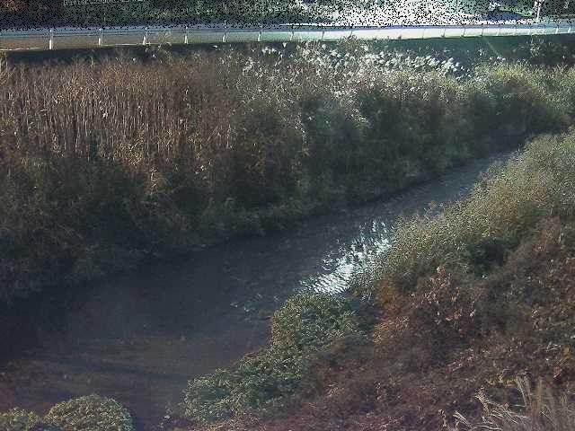 中村川 雑色付近のカメラ画像