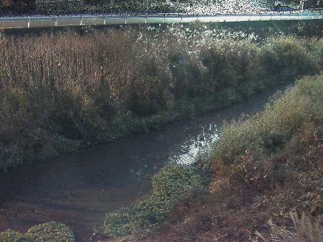 中村川 雑色付近のカメラ画像