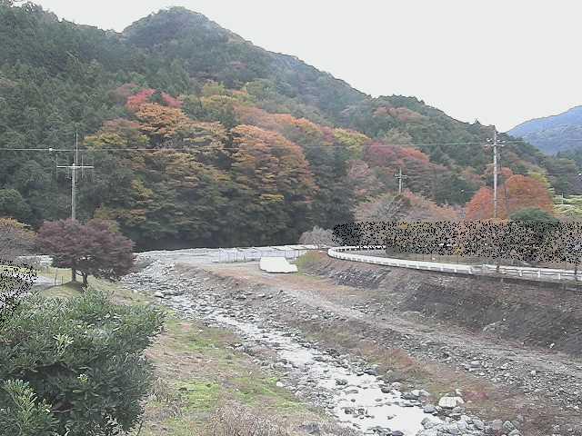 虫沢川 谷戸口橋付近のカメラ画像