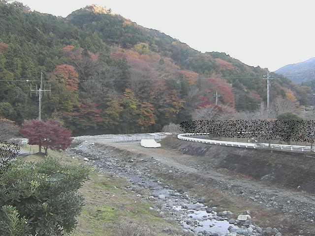 虫沢川 谷戸口橋付近のカメラ画像