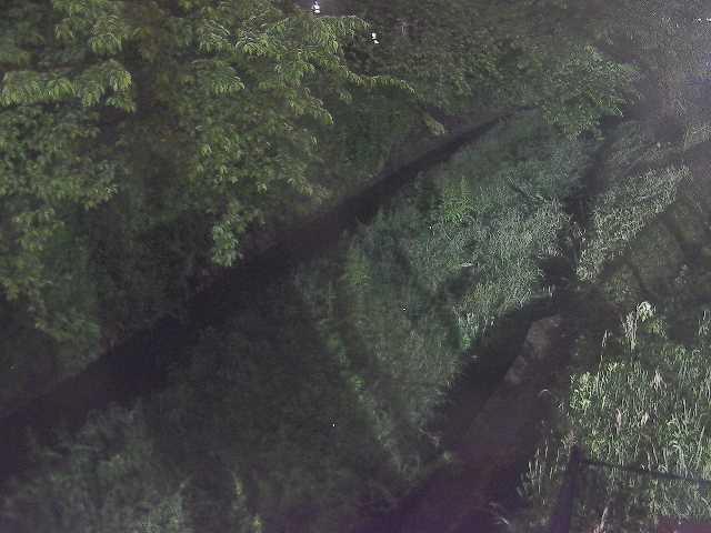 滝沢橋付近のカメラ画像