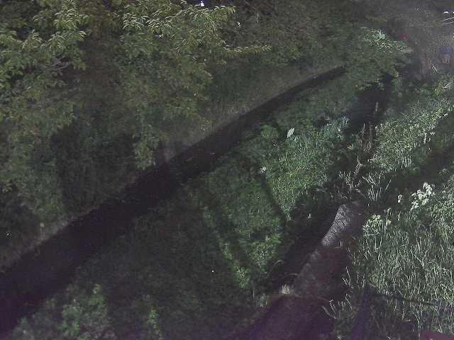 滝沢川 滝沢橋付近のカメラ画像