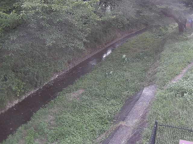 滝沢川 滝沢橋付近のカメラ画像