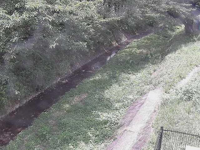 滝沢橋付近のカメラ画像