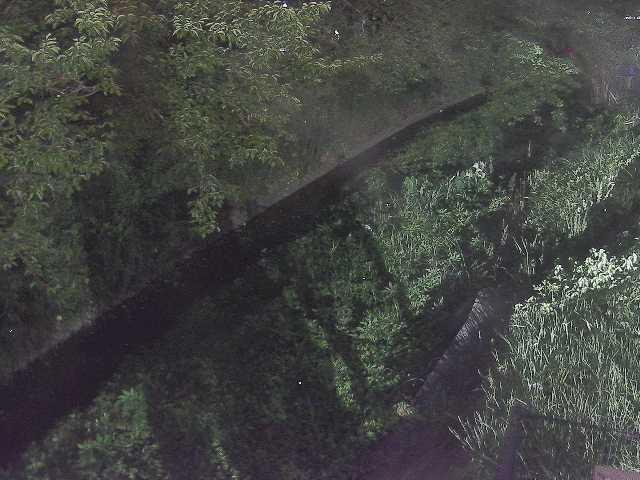 滝沢川 滝沢橋付近のカメラ画像