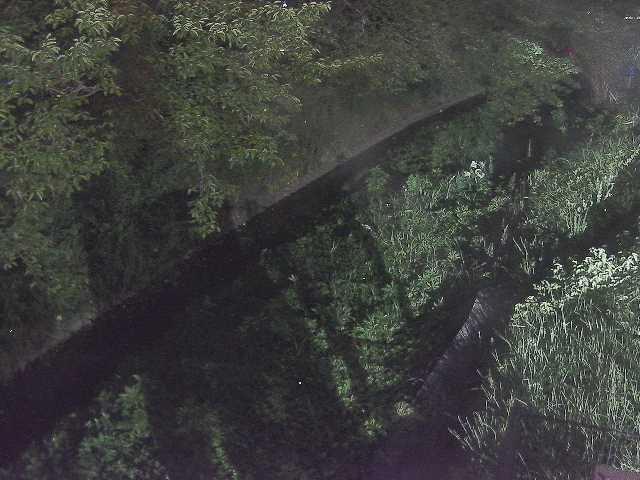 滝沢橋付近のカメラ画像