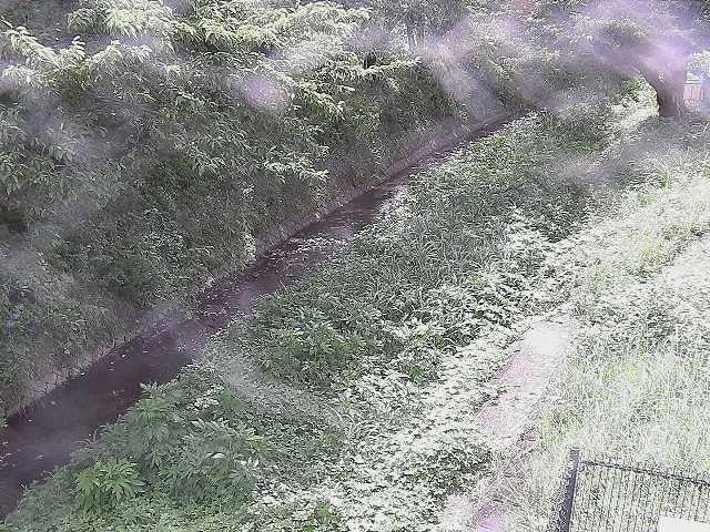 滝沢川 滝沢橋付近のカメラ画像