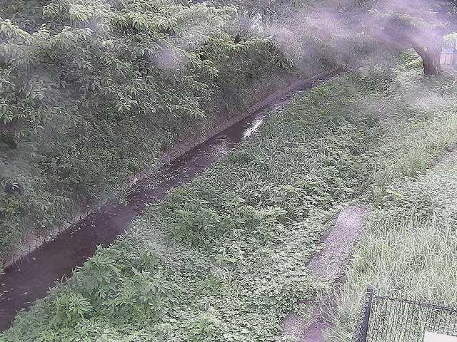 滝沢川 滝沢橋付近のカメラ画像