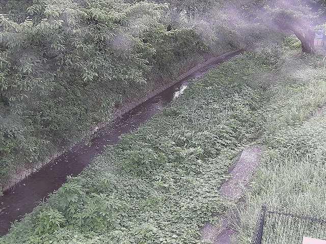 滝沢橋付近のカメラ画像