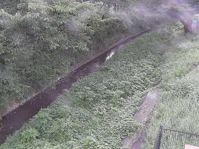 滝沢橋付近のカメラ画像