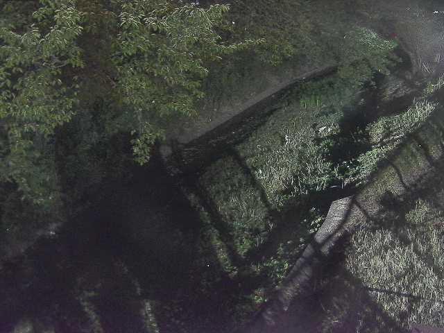 滝沢川 滝沢橋付近のカメラ画像