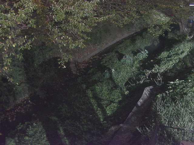 滝沢橋付近のカメラ画像