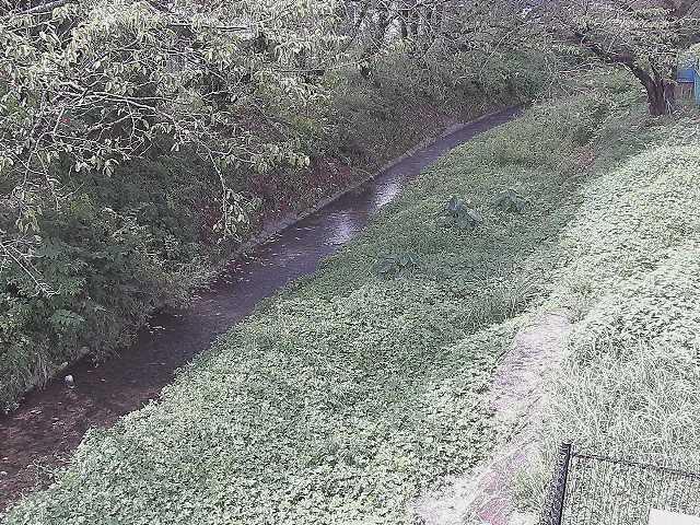 滝沢橋付近のカメラ画像