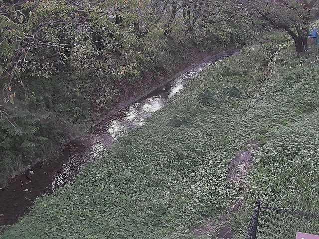 滝沢川 滝沢橋付近のカメラ画像