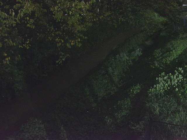 滝沢川 滝沢橋付近のカメラ画像