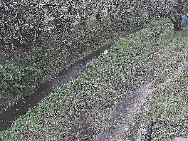 滝沢橋付近のカメラ画像