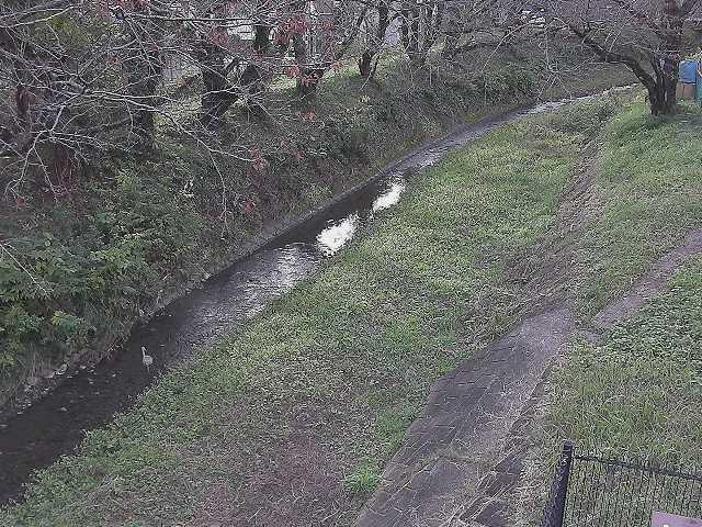 滝沢川 滝沢橋付近のカメラ画像