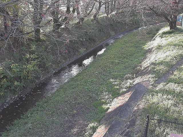 滝沢川 滝沢橋付近のカメラ画像