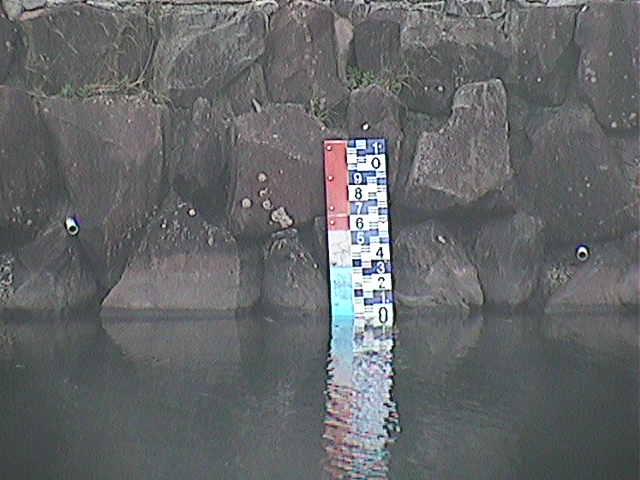 芦の湖付近(望遠)のカメラ画像