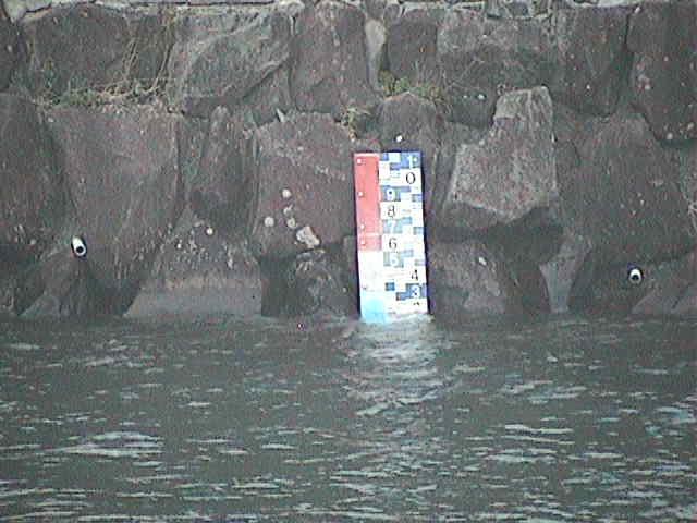 芦の湖 芦の湖付近(望遠)のカメラ画像