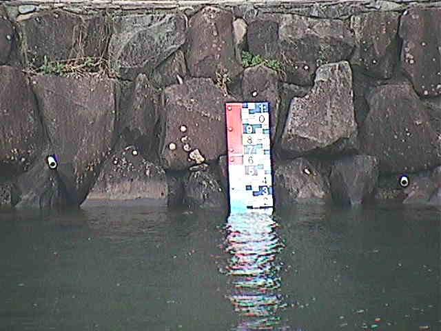 芦の湖付近(望遠)のカメラ画像