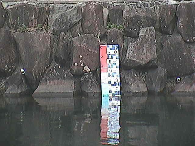 芦の湖付近(望遠)のカメラ画像