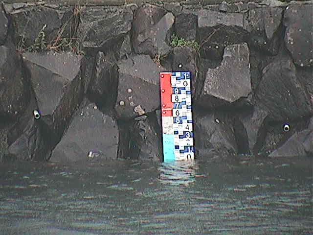 芦の湖付近(望遠)のカメラ画像