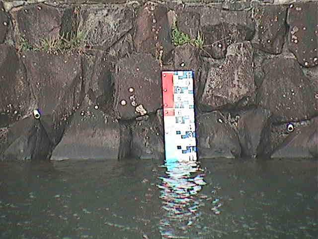 芦の湖 芦の湖付近(望遠)のカメラ画像