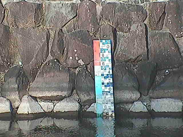 芦の湖付近(望遠)のカメラ画像