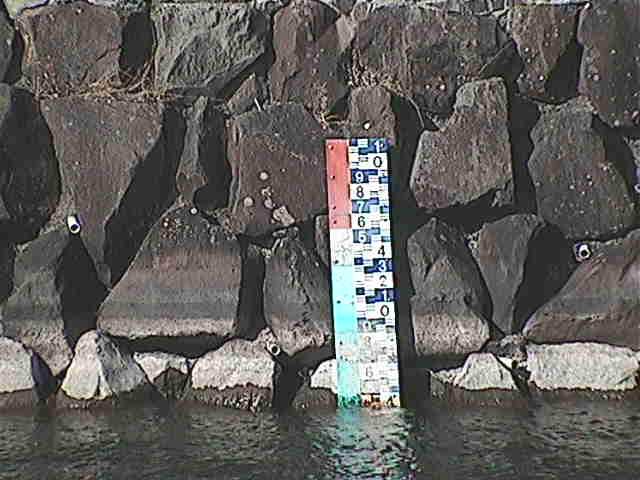 芦の湖 芦の湖付近(望遠)のカメラ画像