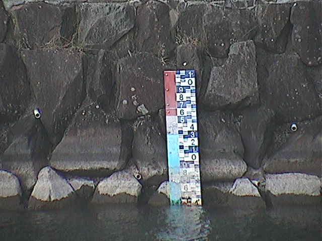 芦の湖付近(望遠)のカメラ画像