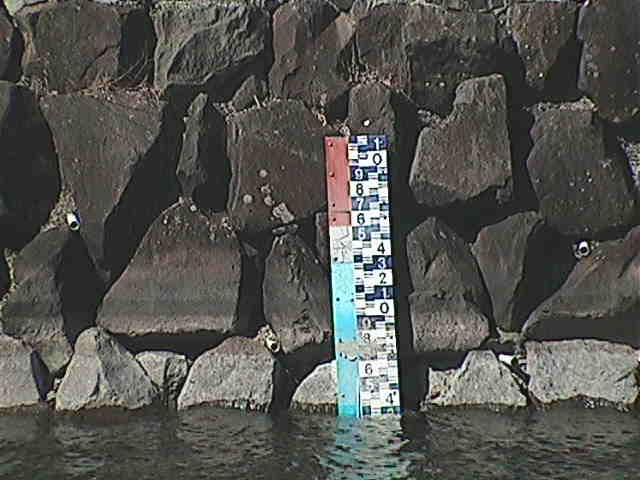 芦の湖付近(望遠)のカメラ画像