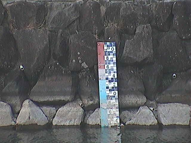 芦の湖付近(望遠)のカメラ画像