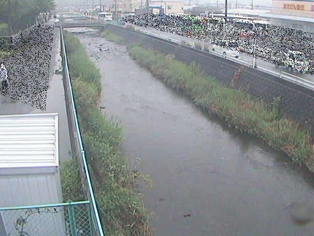 東洋橋付近のカメラ画像